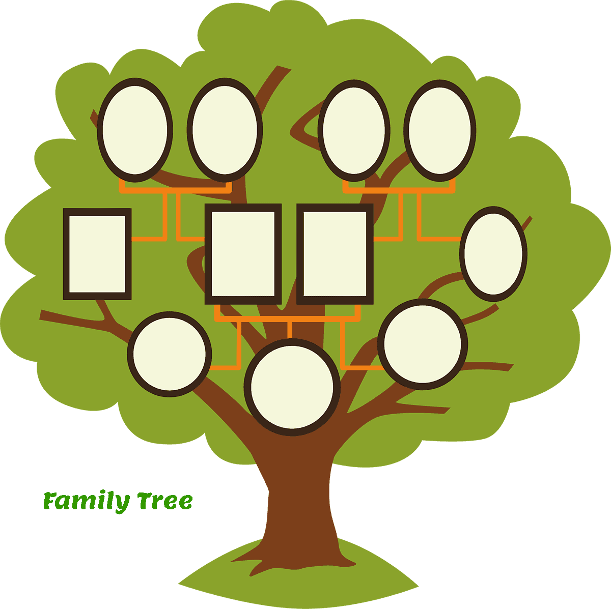 drawn picture of a 'family tree' with blank spaces to insert names of the members of the family of different generations - as useful in managing intergenerational wealth distribution
